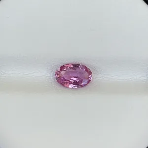 SAPPHIRE CC551